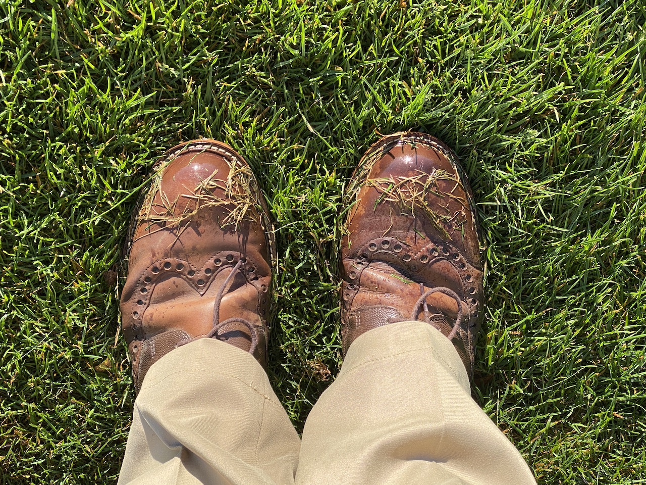 Meine Wahl: ECCO Herren Men's Golf Lux Golfschuhe