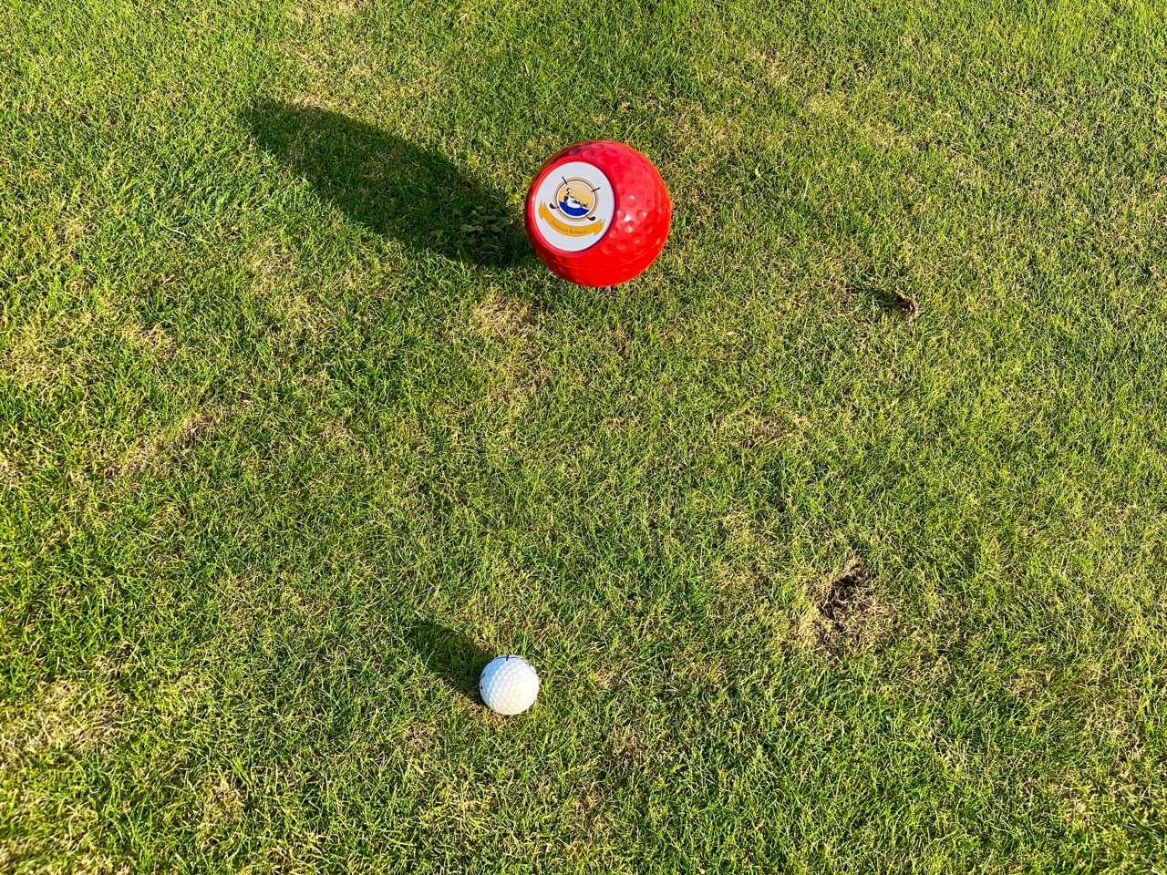 Eine Lady geschlagen